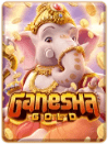 Panda Gold